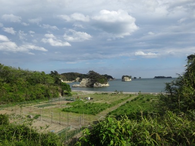 松島の海