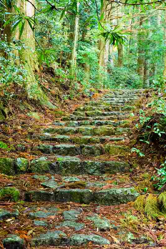 【写真2】熊野古道のルートの1つ「中辺路」